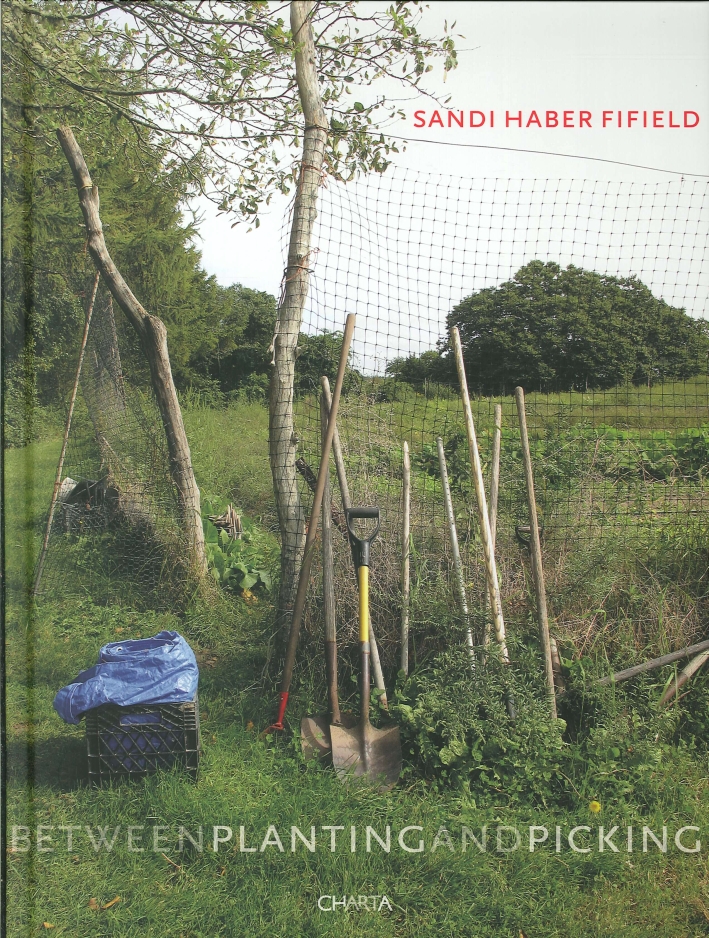Sandi Haber Fifield. Between planting and picking