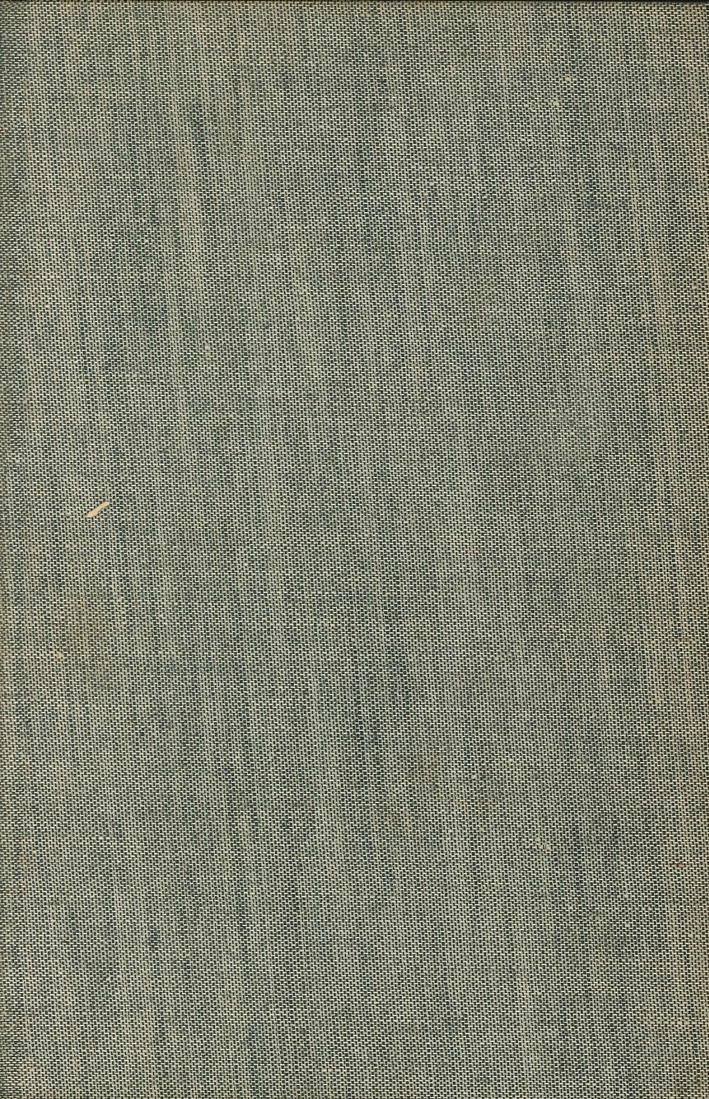 Storia Dell'India. Dalle Origini ai Giorni Nostri