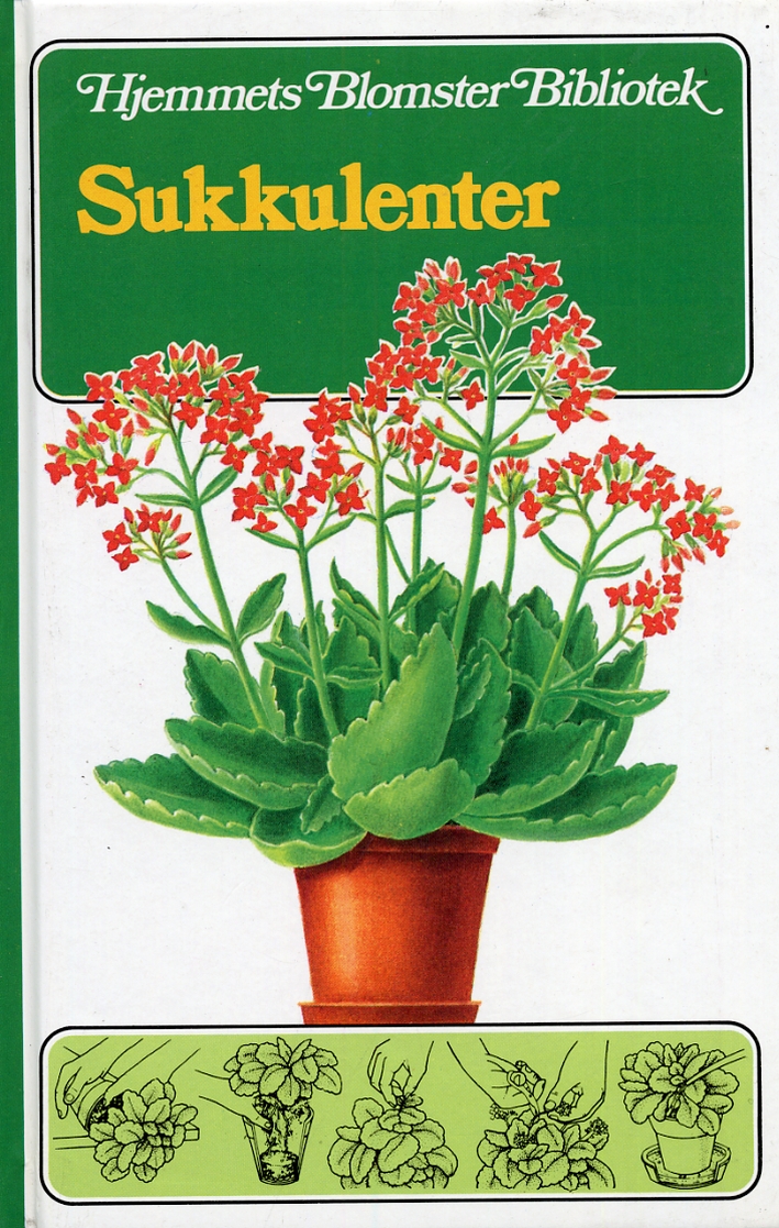 Sukkulenter