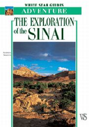The Exploration of the Sinai