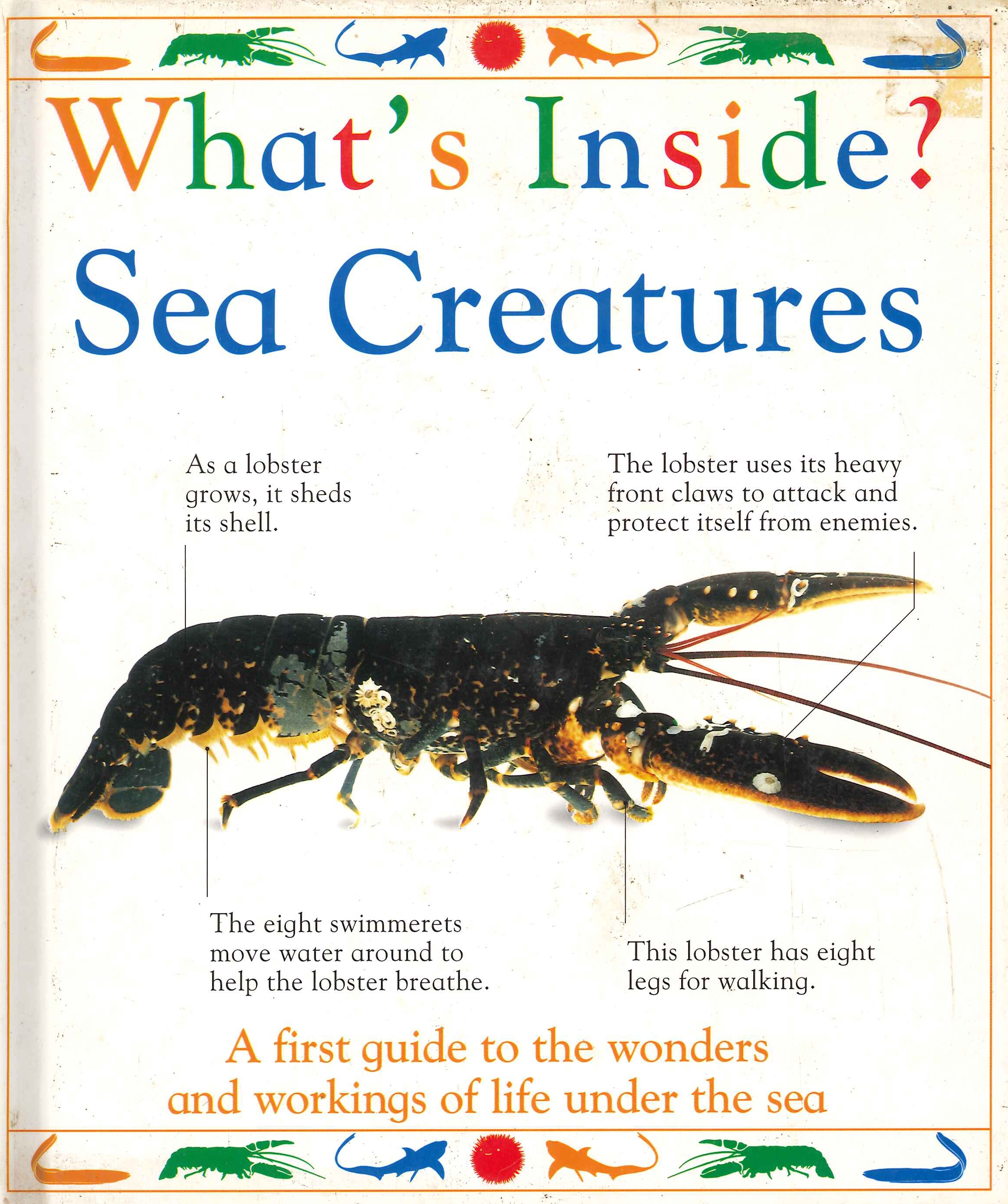 What's Inside. Sea Creatures, Harlow, Dorling Kindersley, 1993