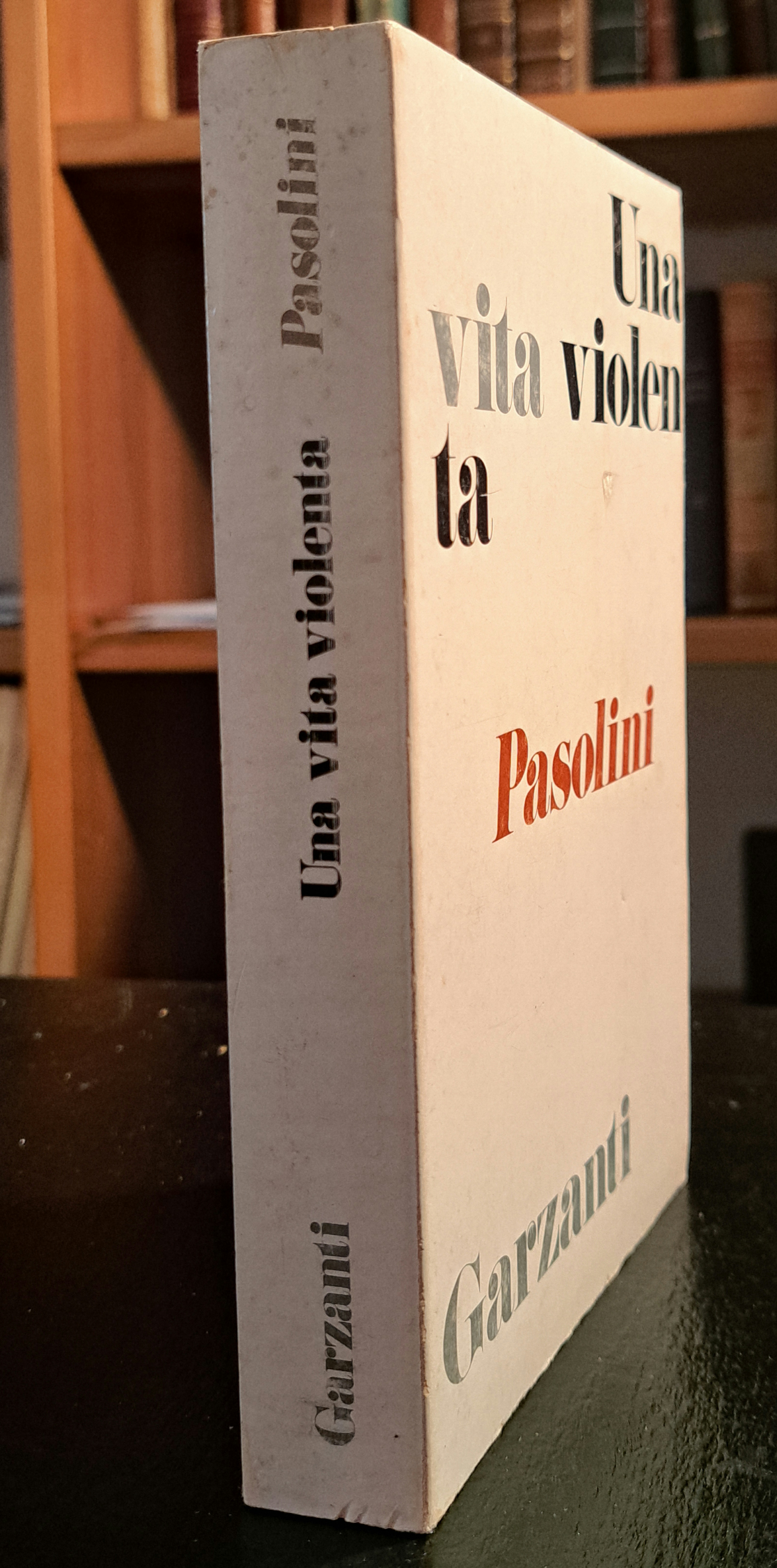 Una vita violenta