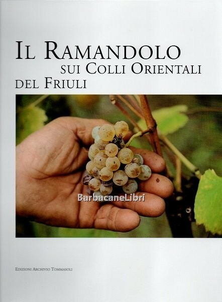 Il Ramandolo sui Colli Orientali del Friuli