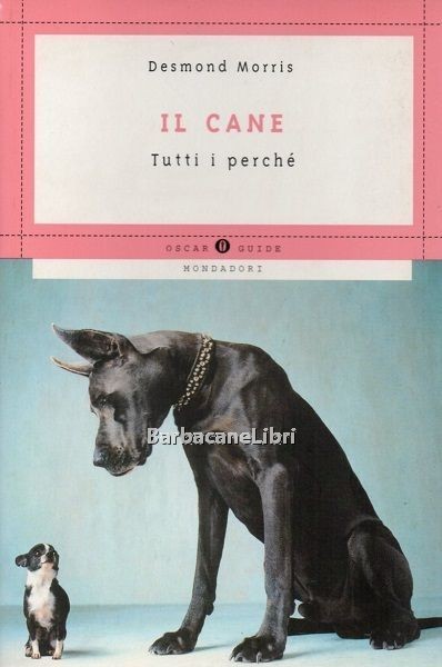 Il cane. Tutti i perché