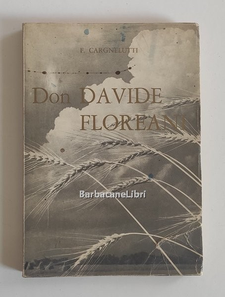 Don Davide Floreani