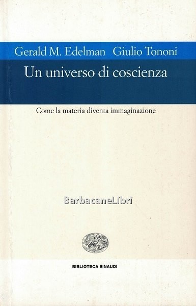 Un universo di coscienza. Come la materia diventa immaginazione