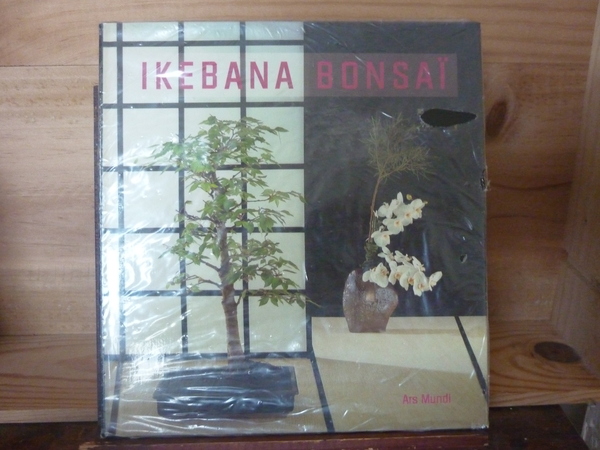 Ikebana Bonsaï