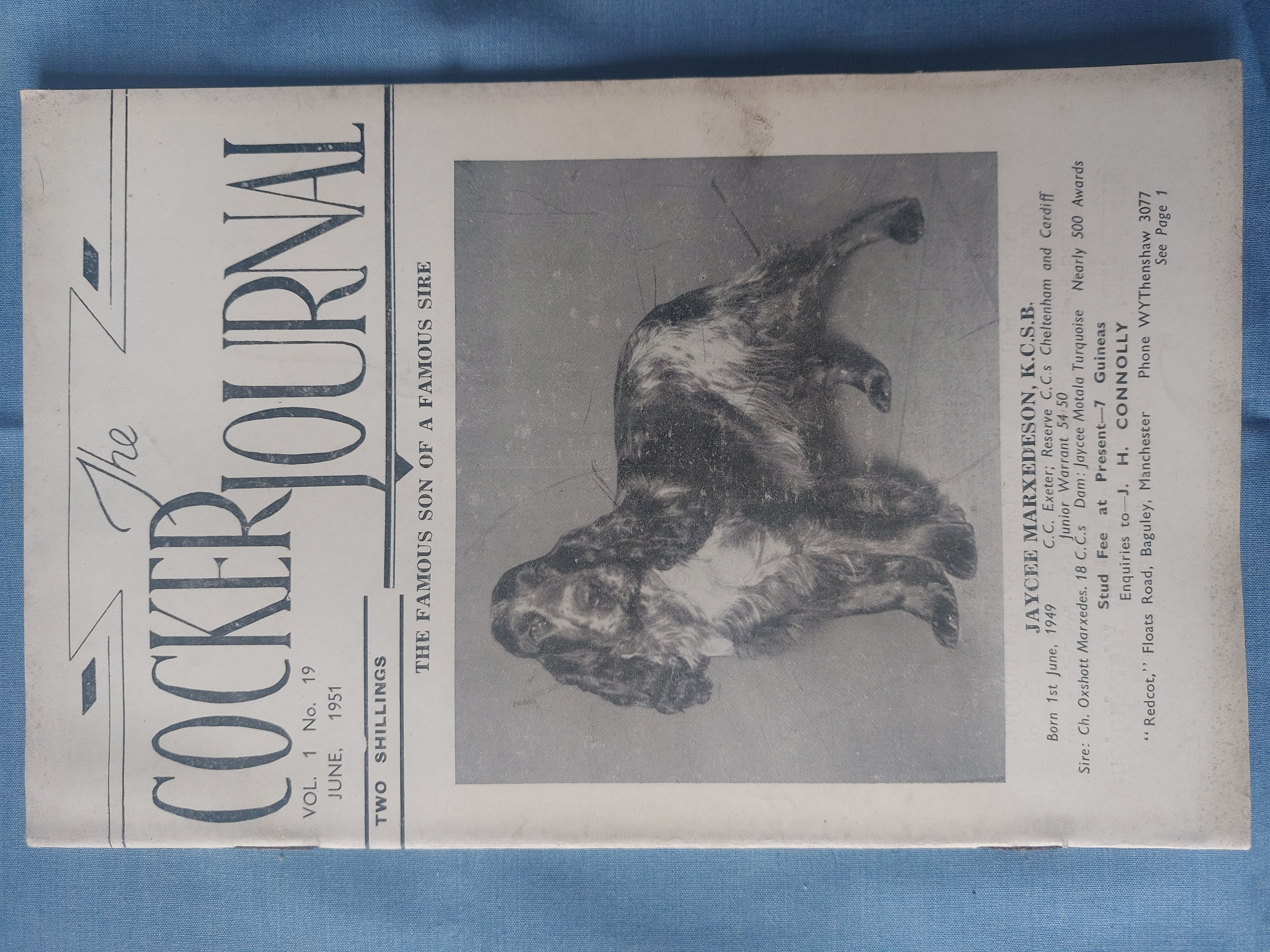 The Cocker Journal