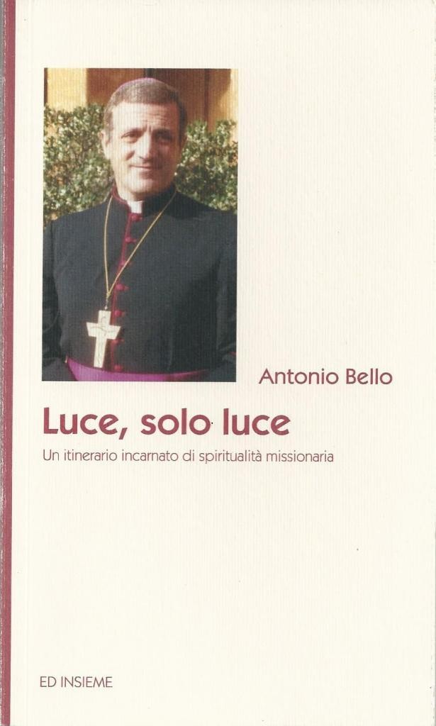 Bello, Luce, solo luce. Un itinerario incarnato di spiritualità missionaria