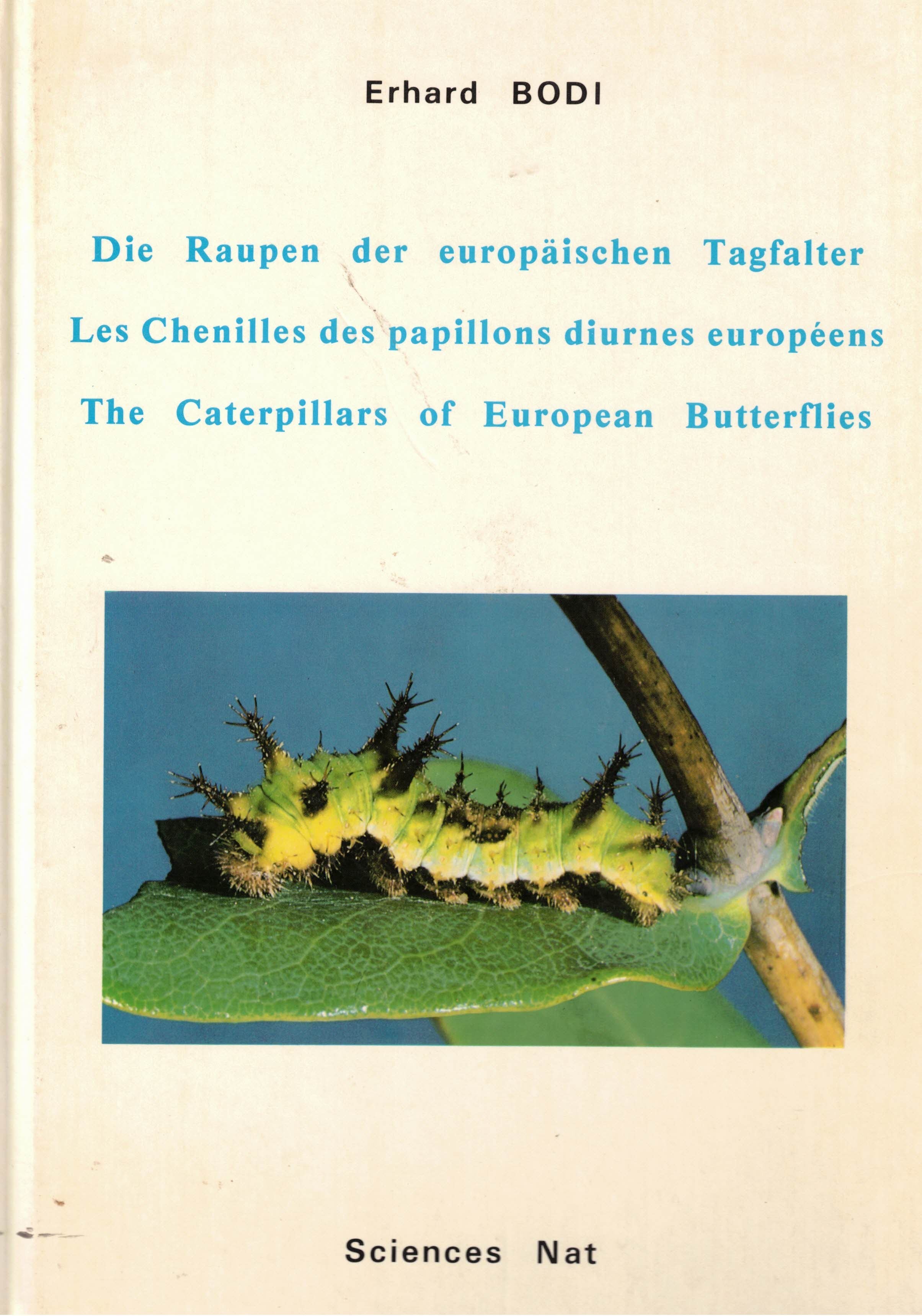 Bodi, Die raupen - Les chenilles – The caterpillars