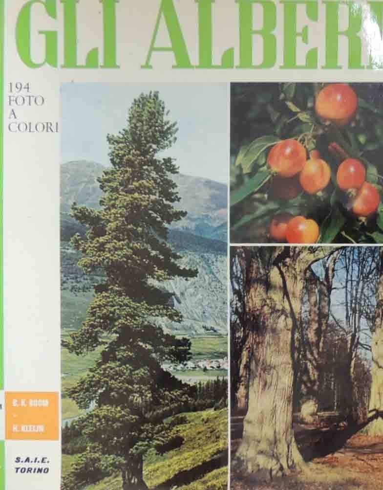 Boom, Klein, Gli alberi