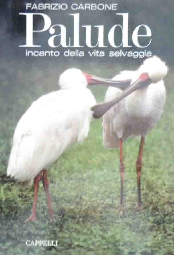 Carbone, Palude. Incanto della vita selvaggia