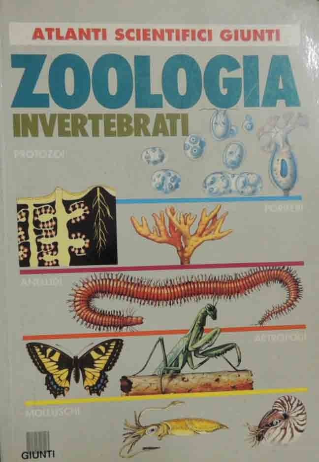 Carfì, del Centina, Haro Vera, Zoologia. Invertebrati