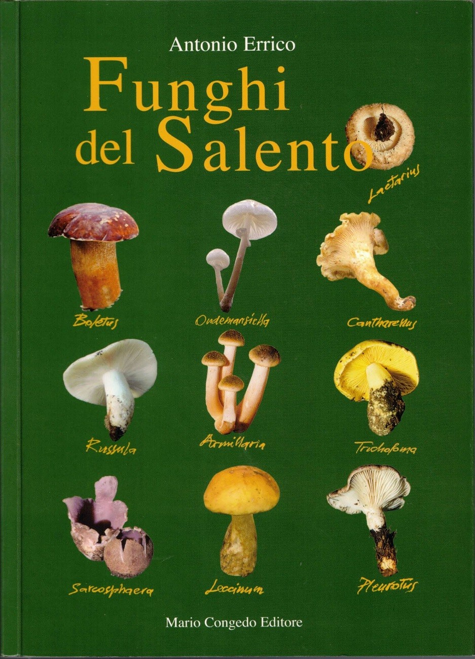 Errico, Funghi del Salento