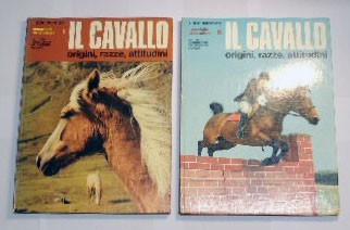 Il cavallo. Origini, razze, attitudini, a cura di Lugli