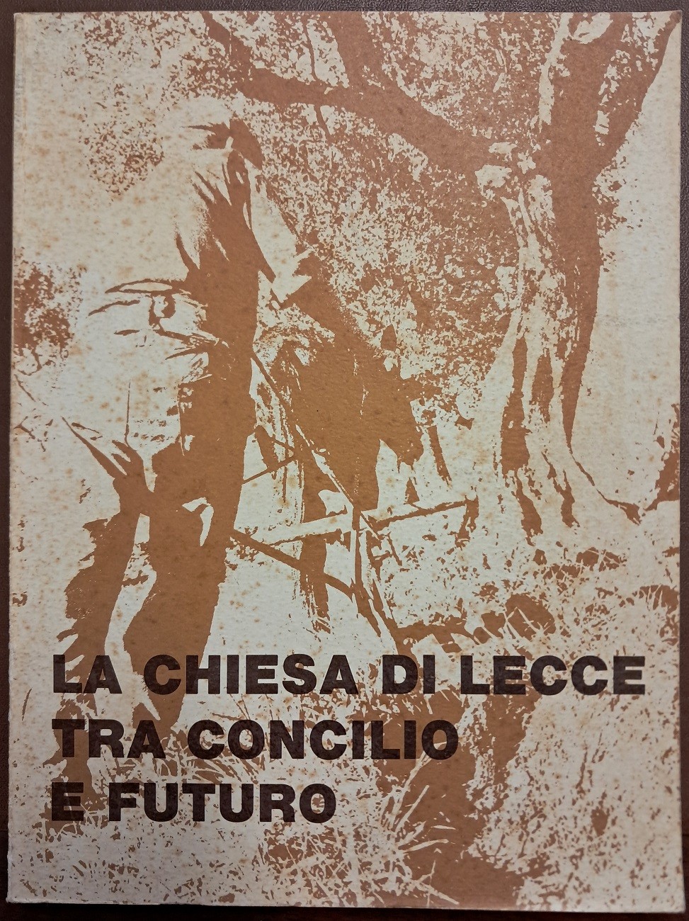 La Chiesa di Lecce tra Concilio e futuro. Momenti di …
