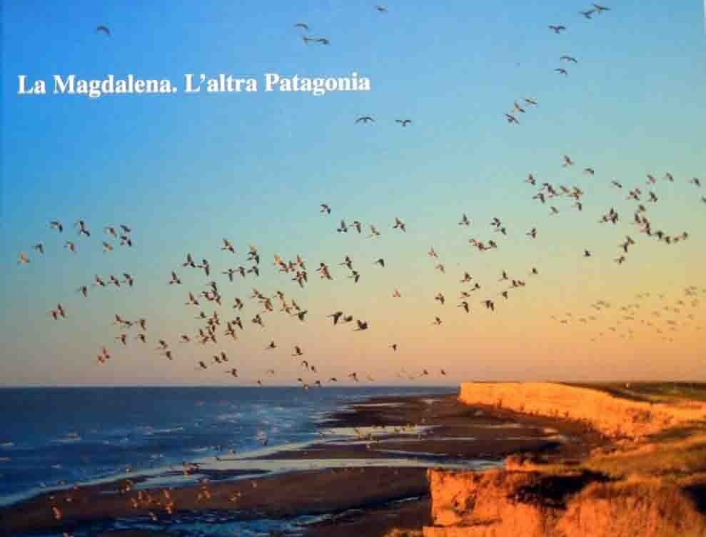 La Magdalena. L’altra Patagonia, progetto editoriale Costanzo