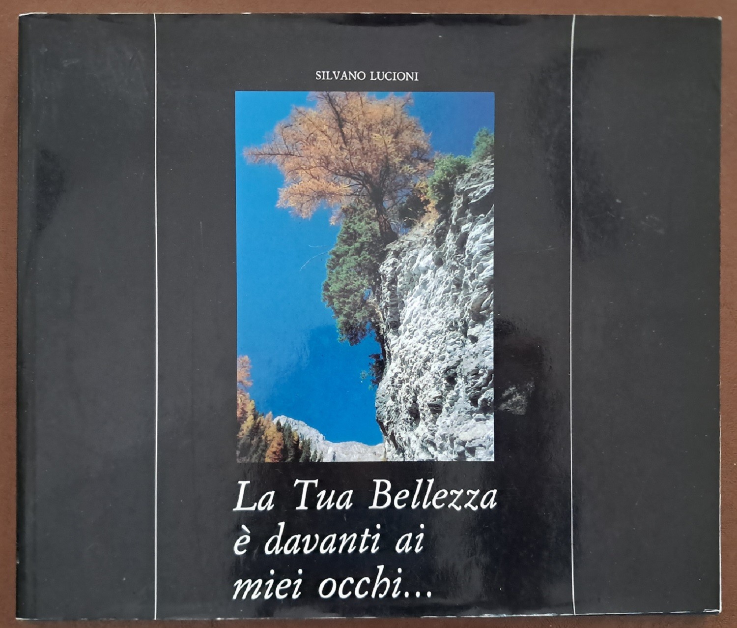 Lucioni, La tua bellezza è davanti ai miei occhi…