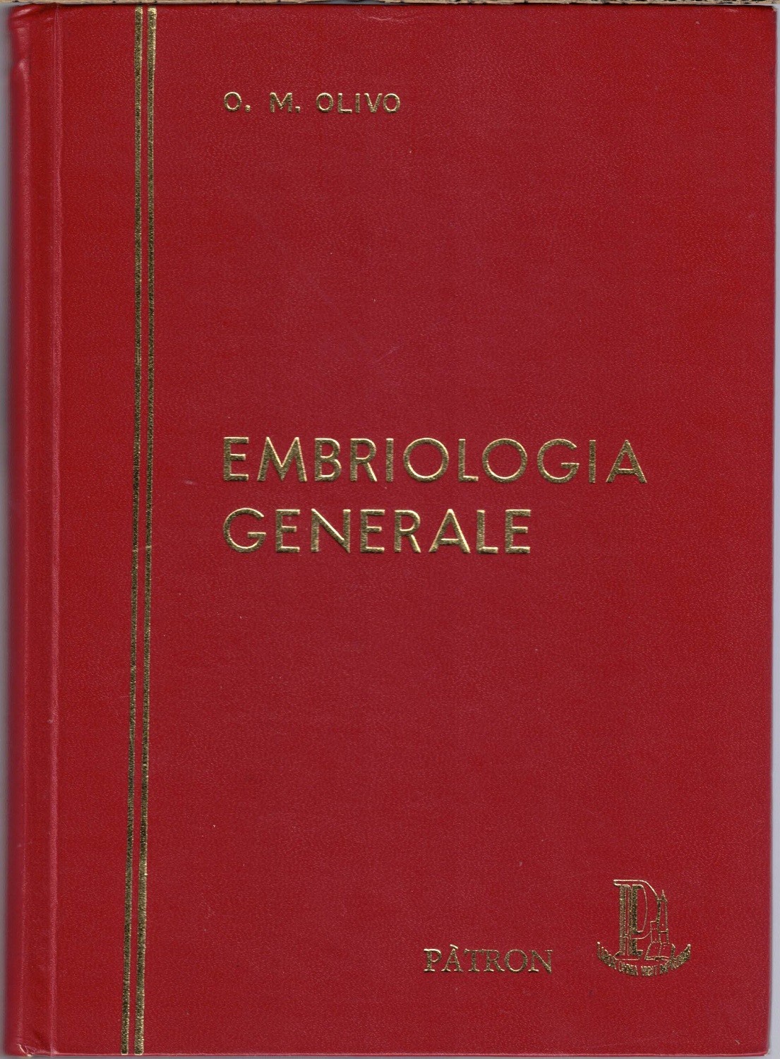 Olivo, Embriologia generale