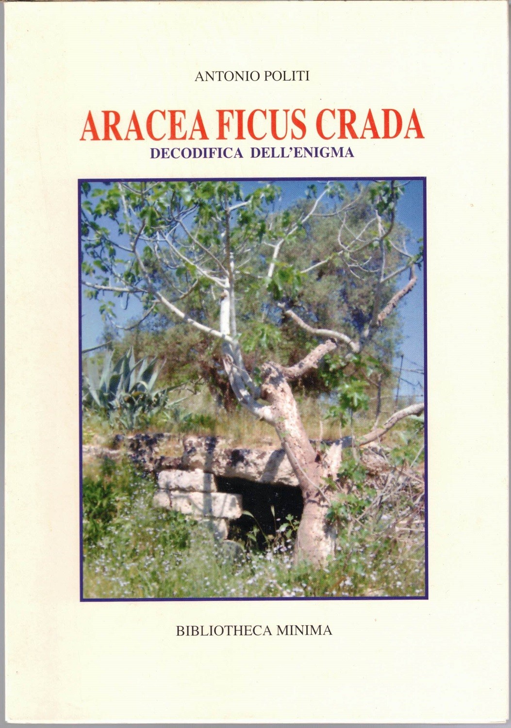 Politi, Aracea ficus crada