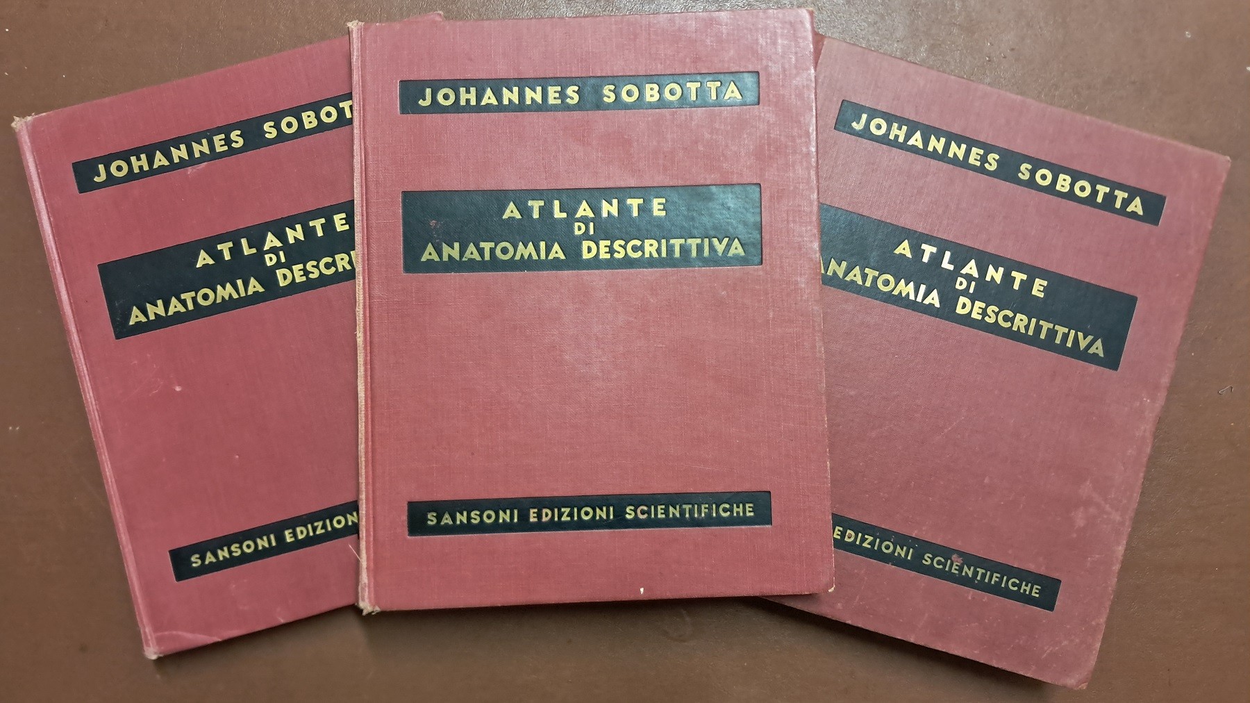 Sobotta, Atlante di anatomia descrittiva, 4 voll.