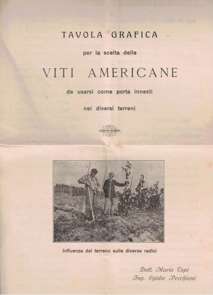 Topi, Pecchioni, Tavola grafica per la scelta delle viti americane …