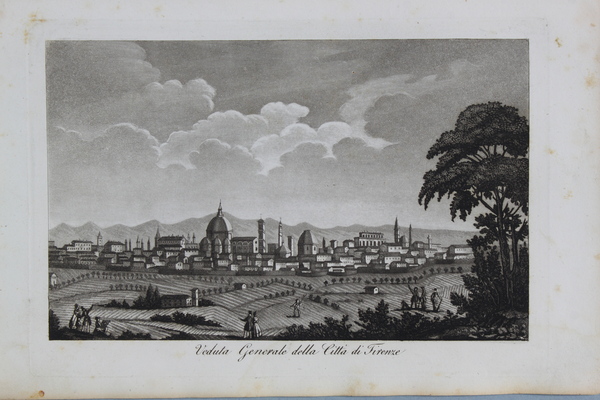 GANDINI FRANCESCO. Veduta Generale della Citt… di Firenze.