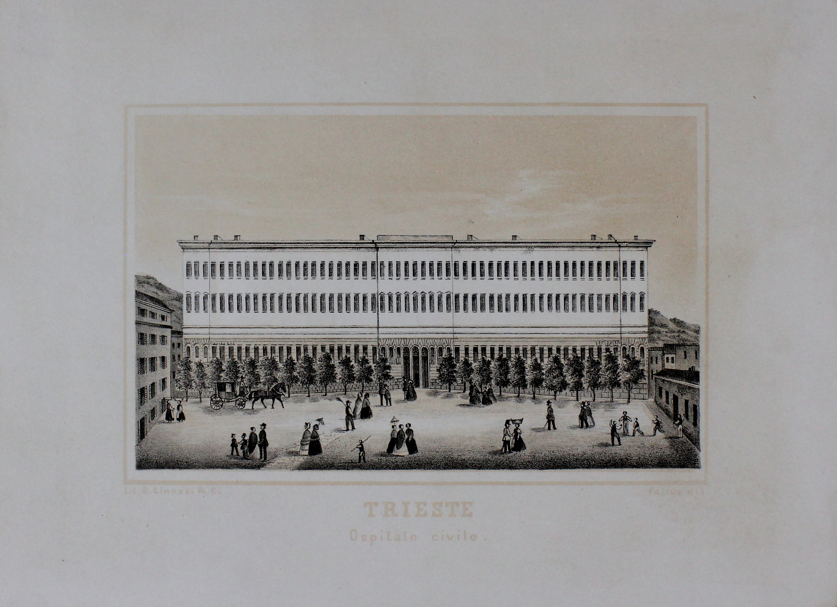 FALTUS FRANCESCO DE. Trieste. Ospitale civile. - Trieste, Litografia Linassi, …
