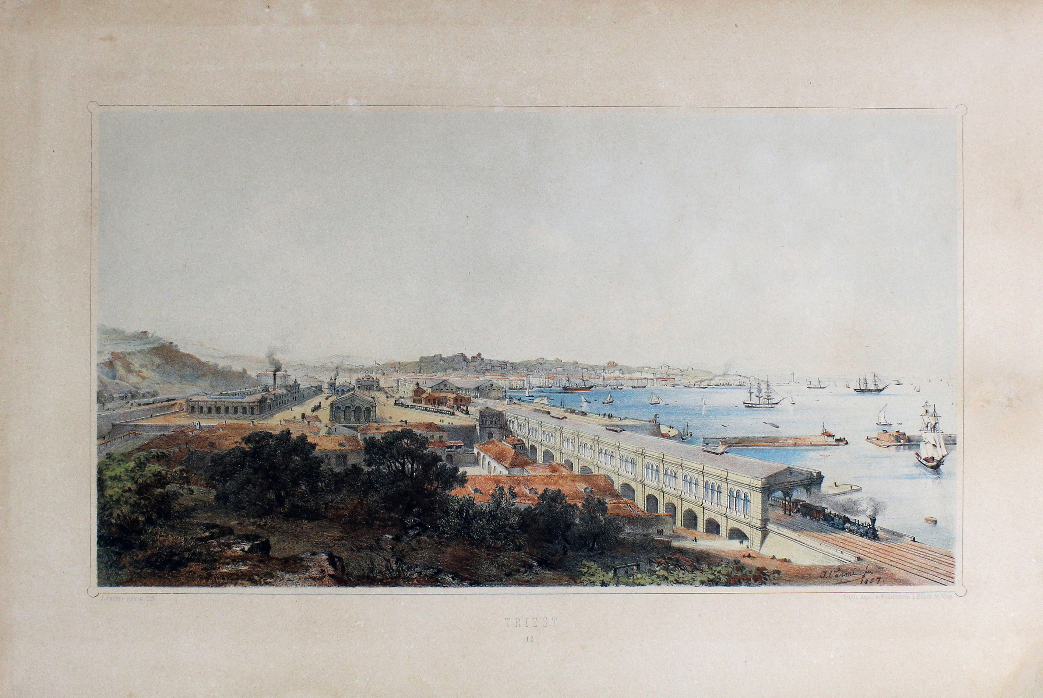 VARONI JOHANN. Triest. - Vienna, Reisenstein & Rosch, 1857.