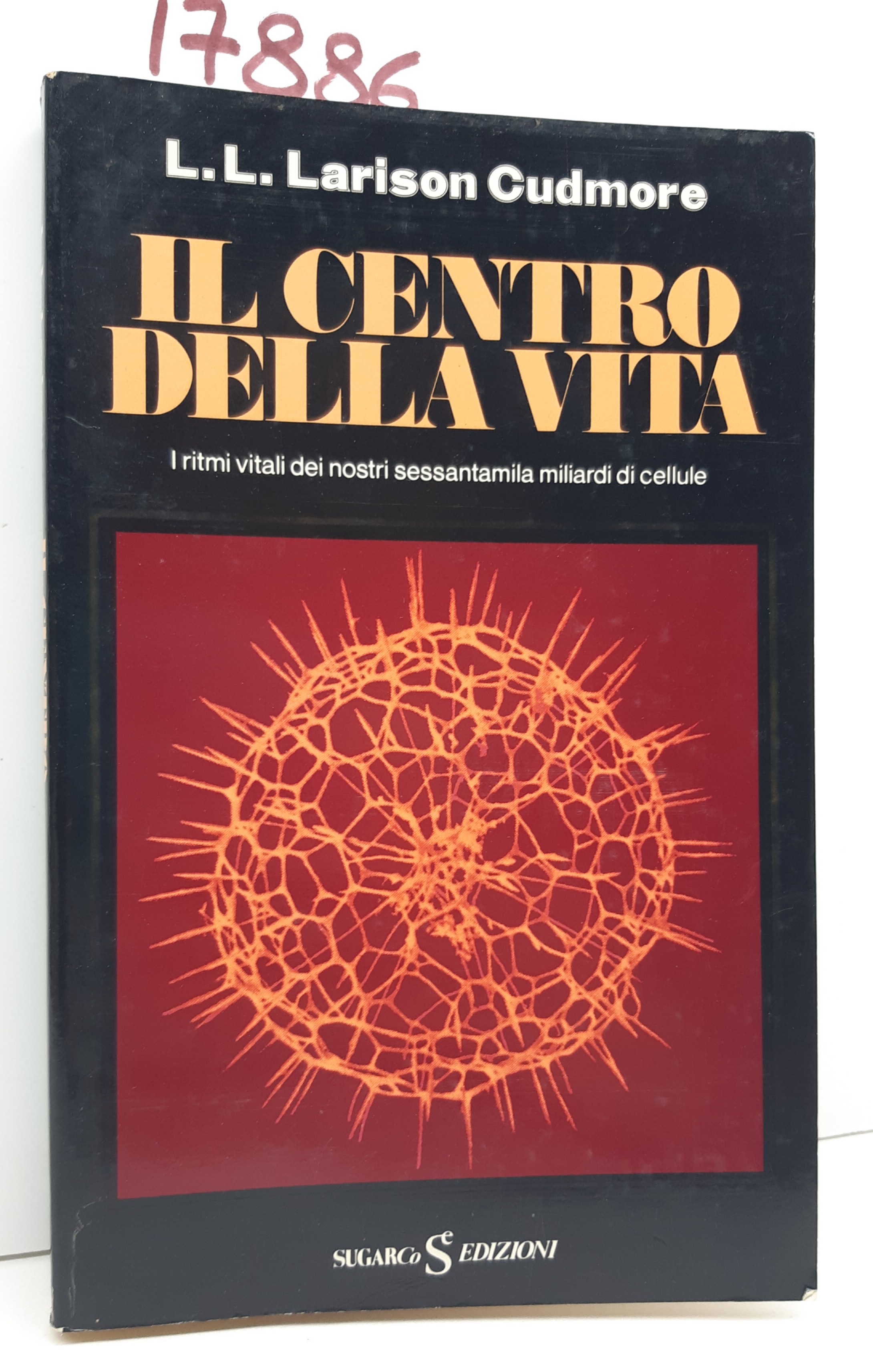 Larison Cudmore Il centro della vita SugarCo 1977