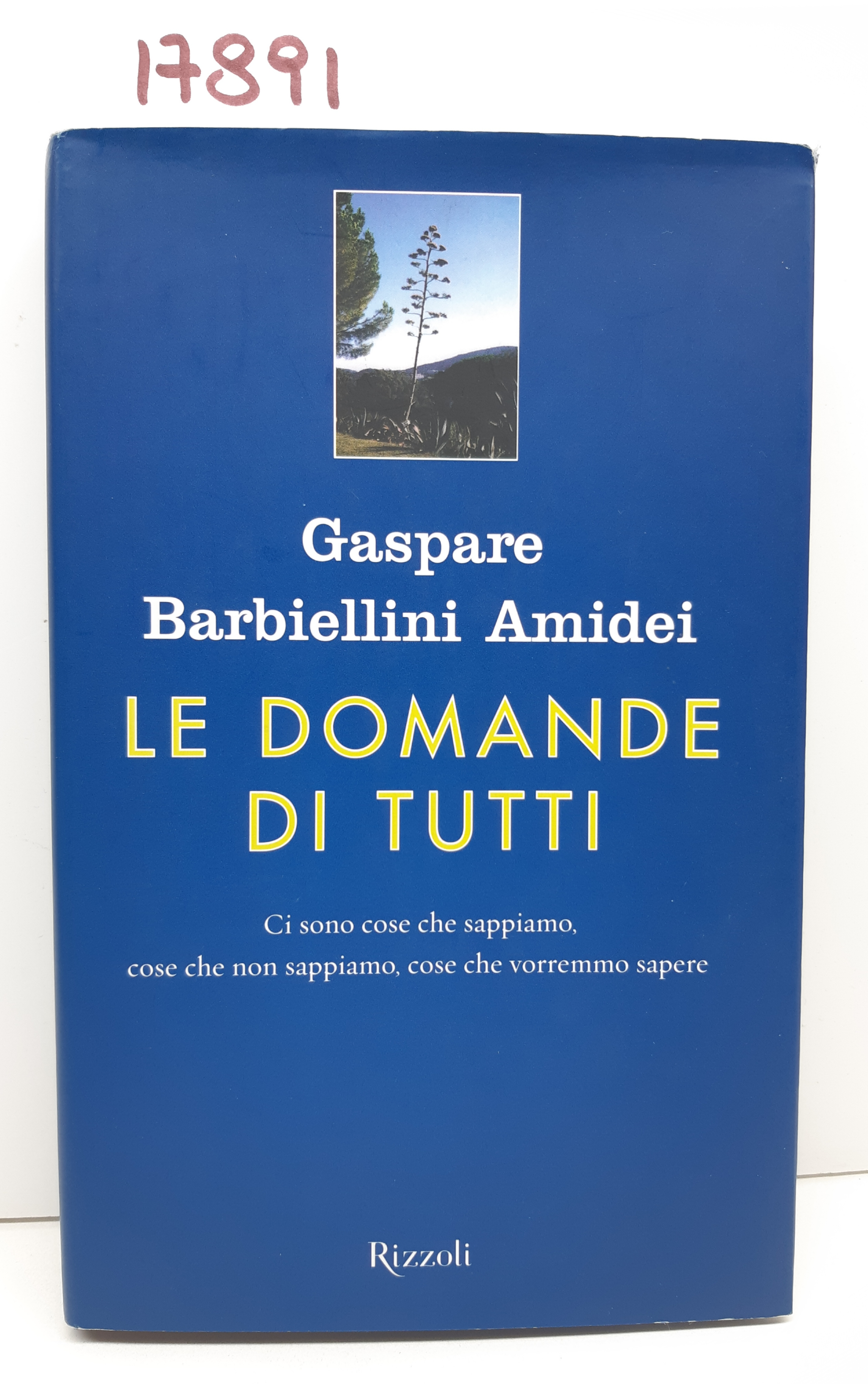 Gaspare Barbiellini Amidei Le domande di tutti Rizzoli 1° edizione …