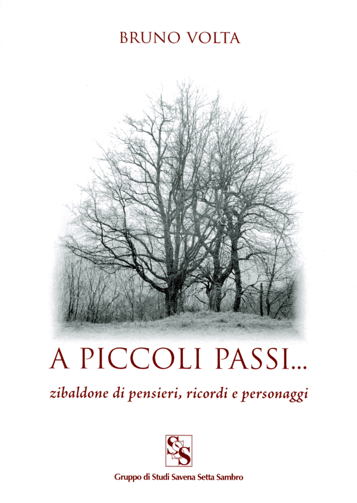 A piccoli passi ... zibaldone di pensieri, ricordi e personaggi