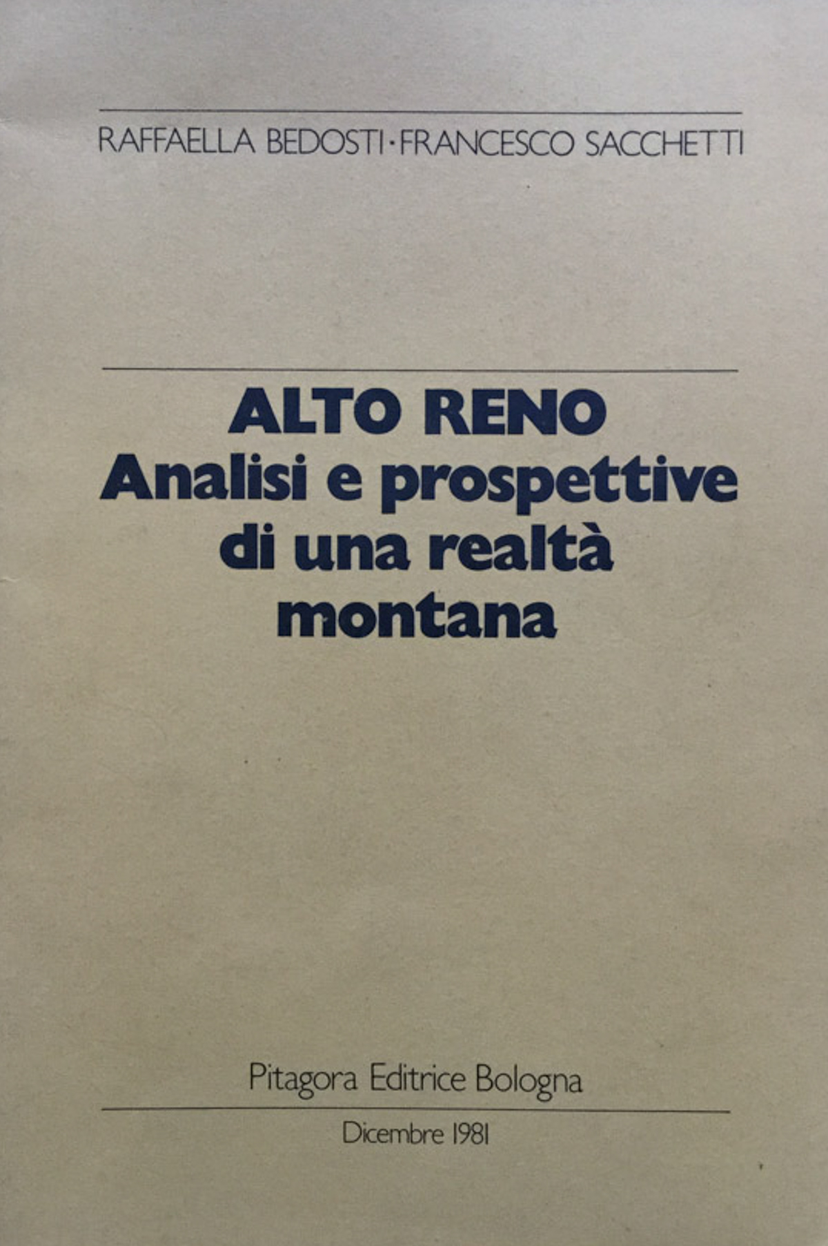 Alto Reno. Analisi e prospettive di una realta montana