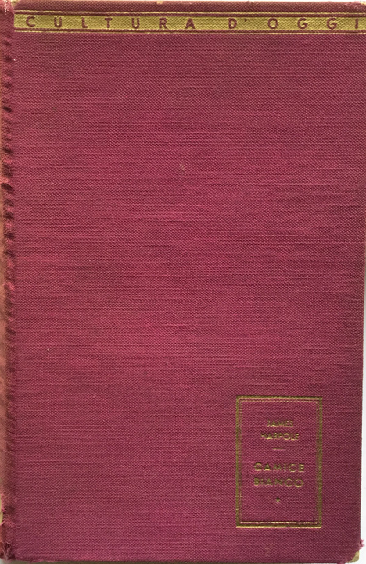 Camice bianco. Dallo schedario di un chirurgo