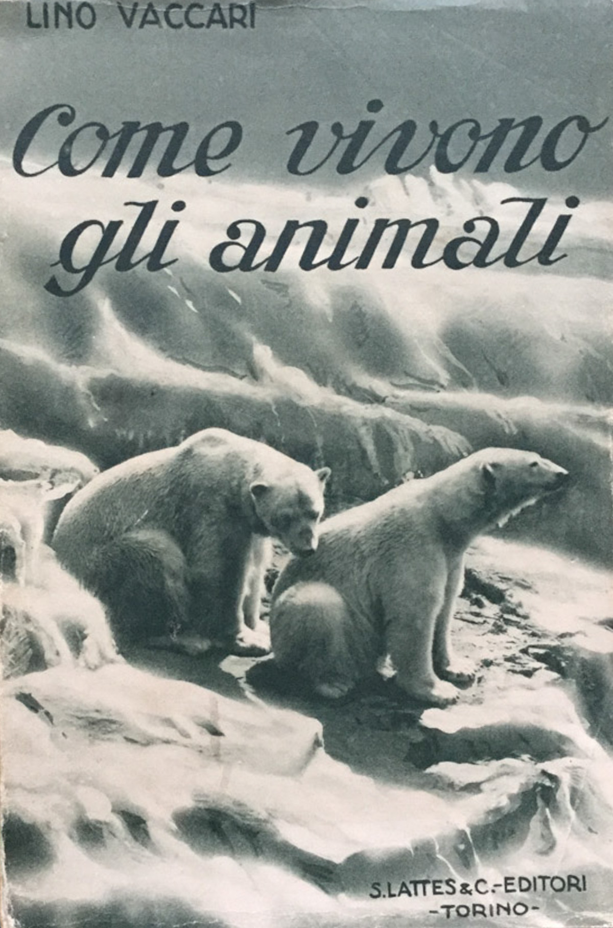 Come vivono gli animali