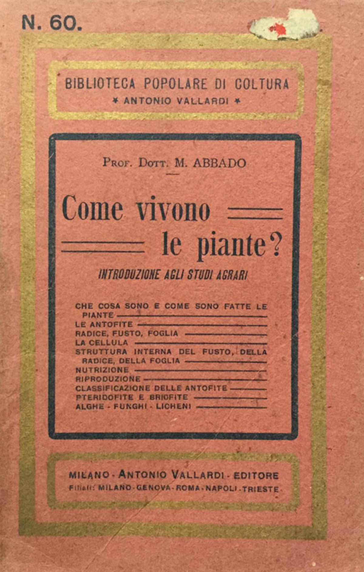 Come vivono le piante? Introduzione agli studi agrari