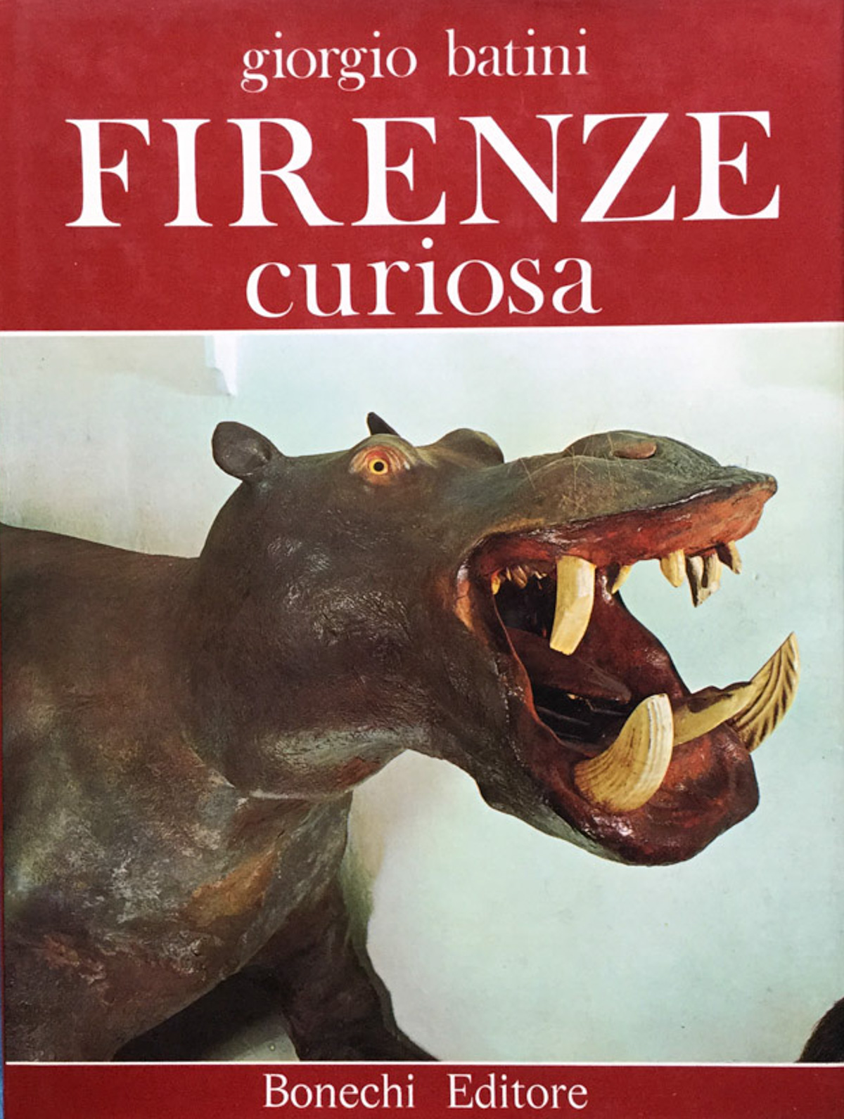 Firenze curiosa