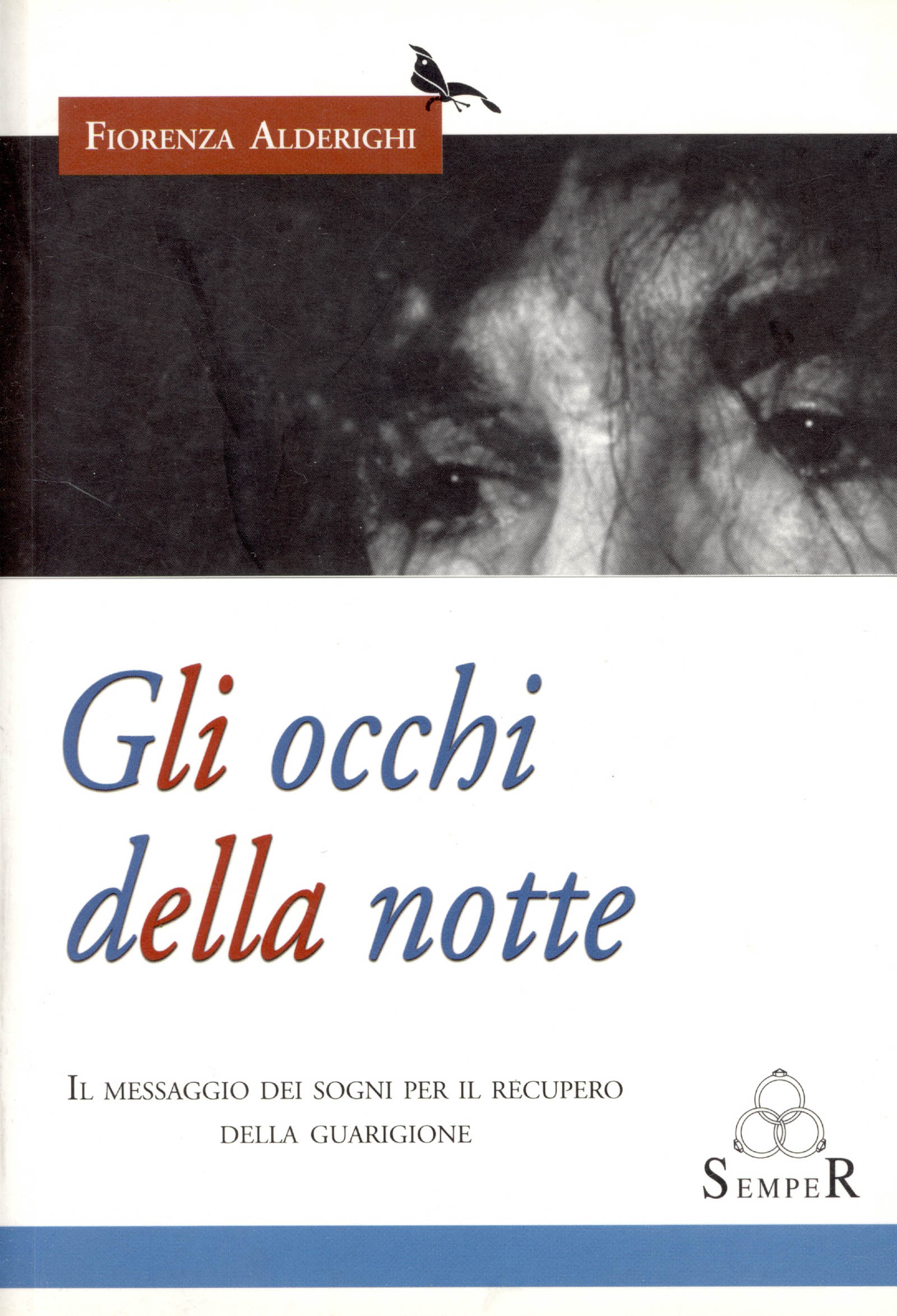 Gli occhi della notte