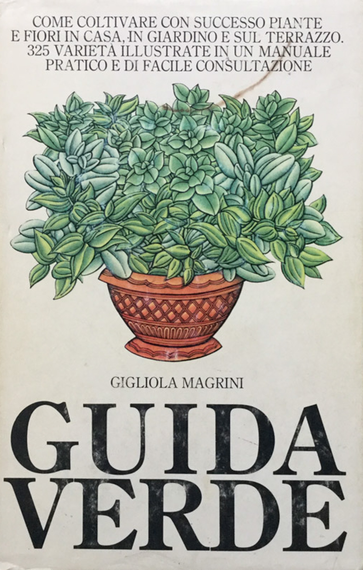 Guida verde
