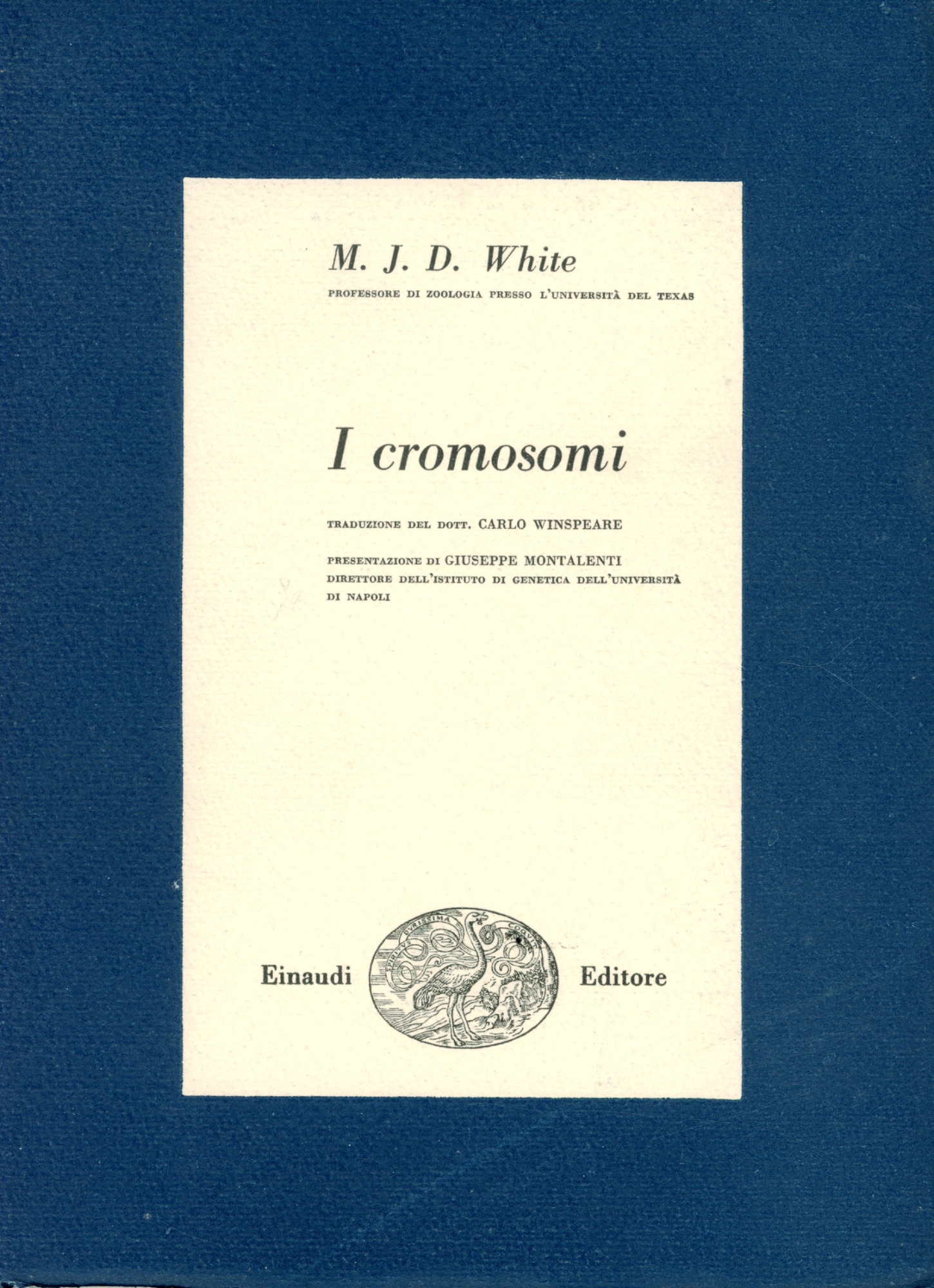 I cromosomi