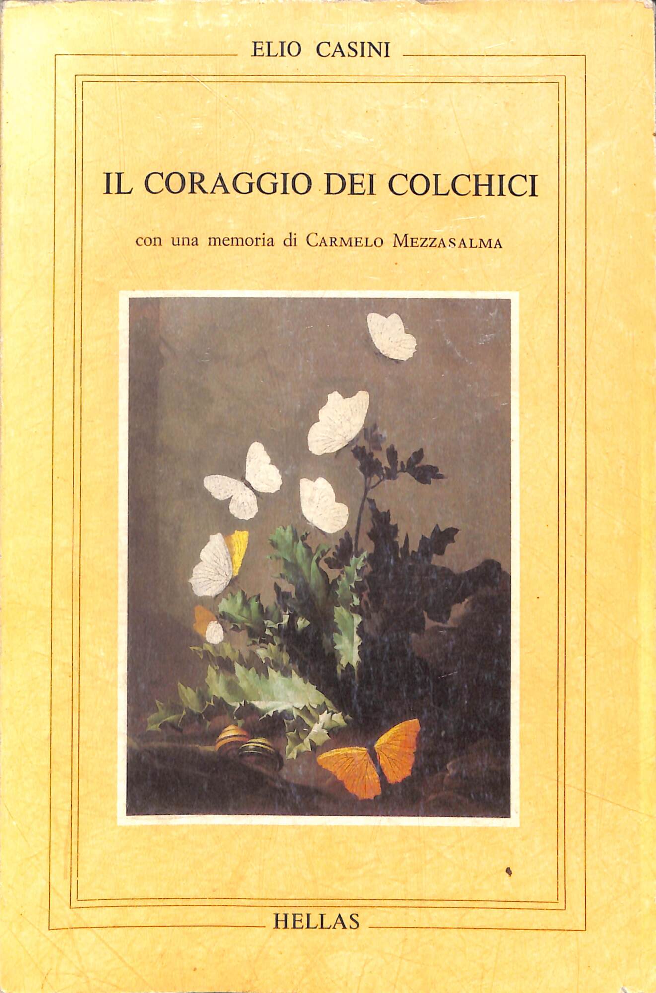 Il coraggio dei Colchici (1980-1987)