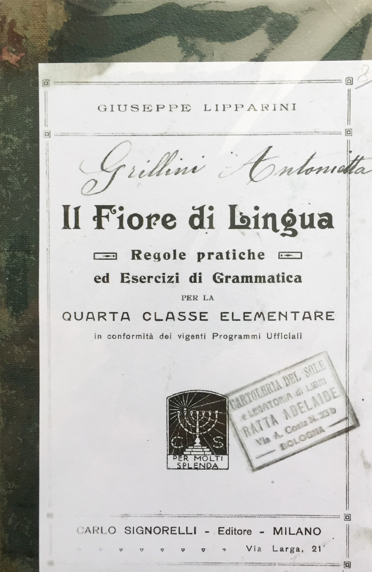 Il fiore di lingua. Regole pratiche ed esercizi di grammatica …