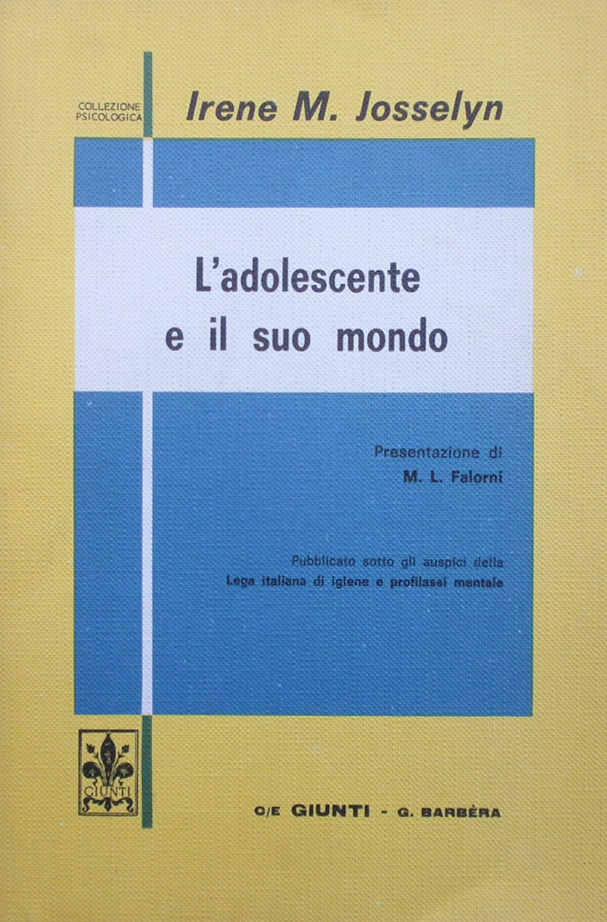 L'adolescente e il suo mondo