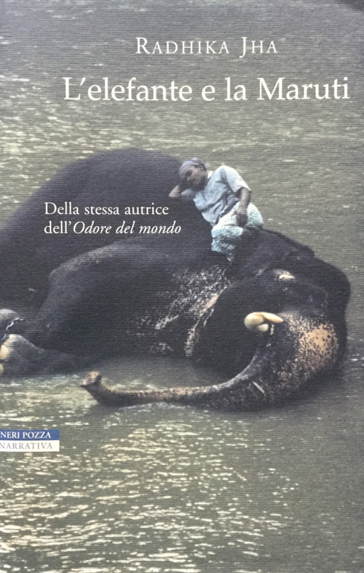 L'elefante e la Maruti