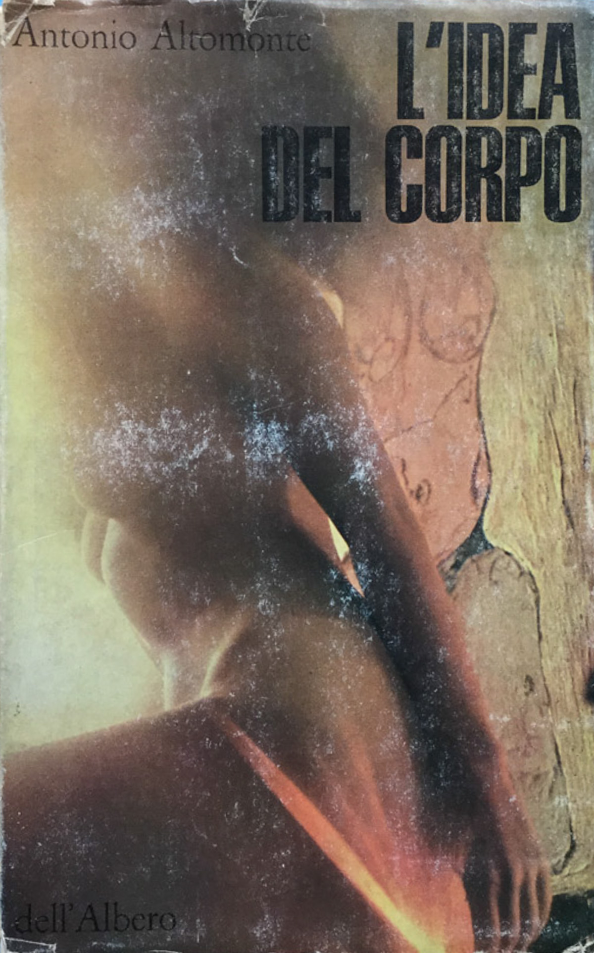 L'idea del corpo. (romanzo).