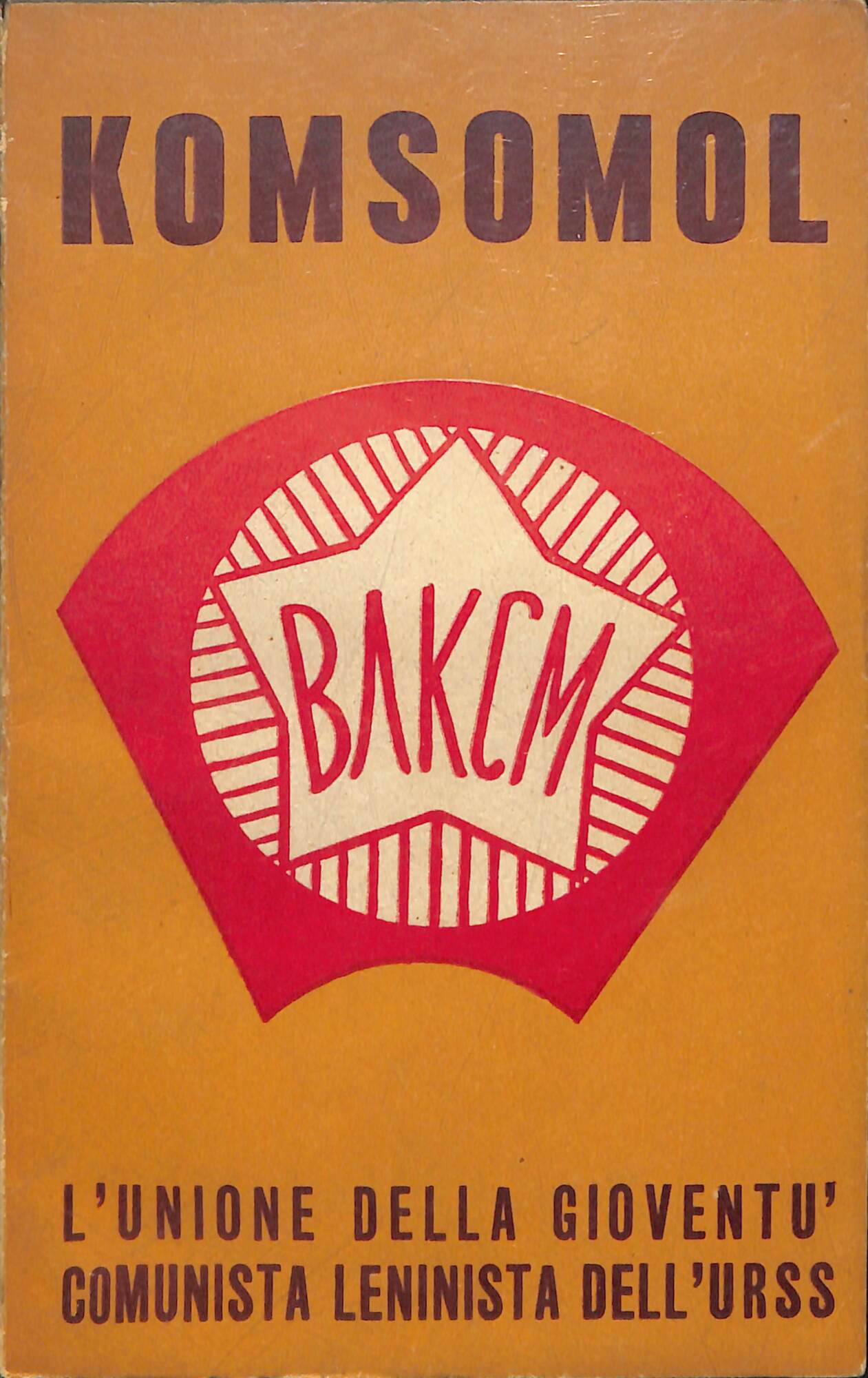 L'Unione della gioventù comunista leninista dell'urss (komsomol)