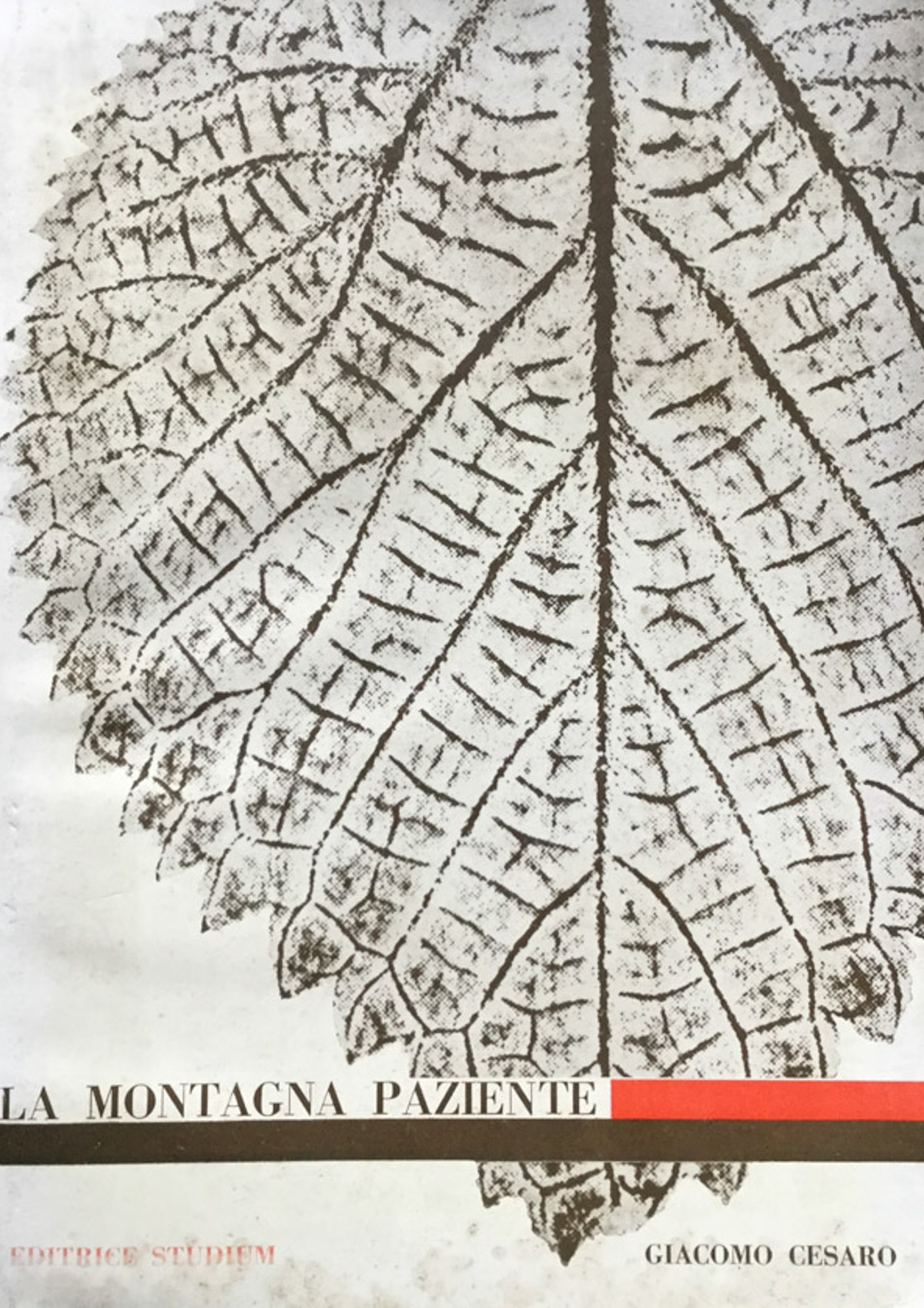 La montagna paziente.