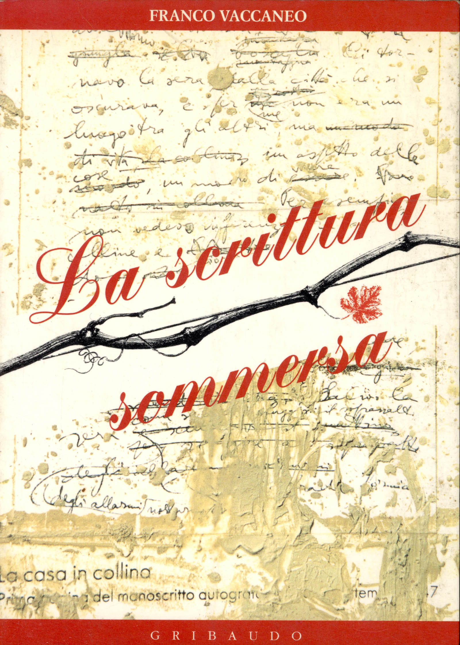 La scrittura sommersa