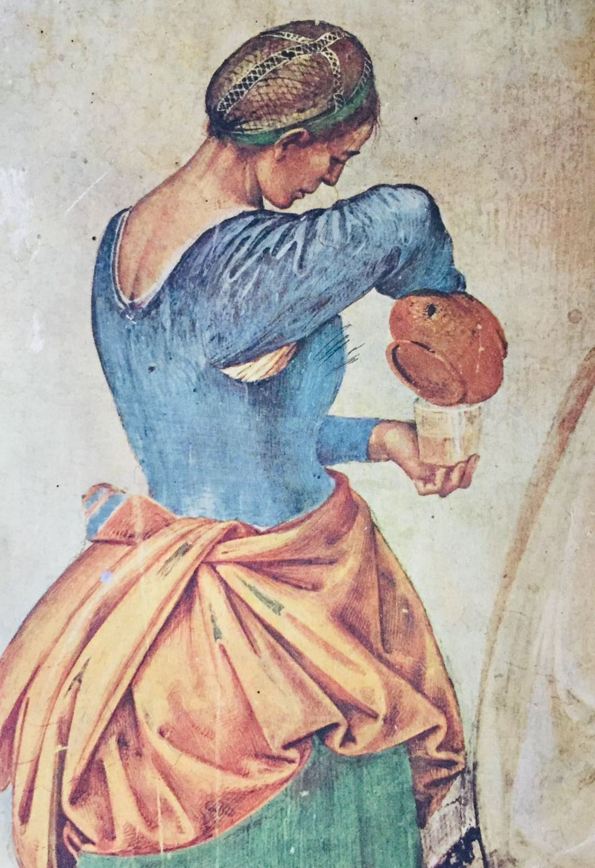 Libro Coop della casa