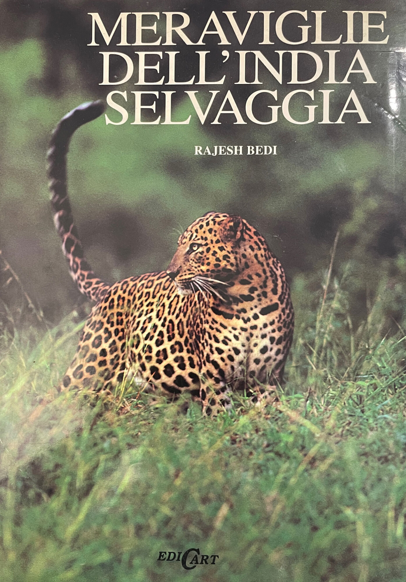 Meraviglie dell'India selvaggia. Ediz. illustrata